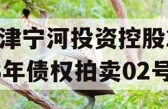 天津宁河投资控股2023年债权拍卖02号 天津宁河投资控股2023年债权拍卖02号