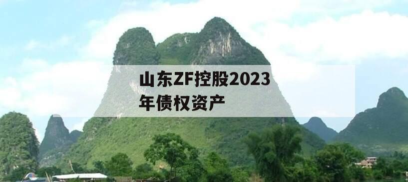 山东ZF控股2023年债权资产