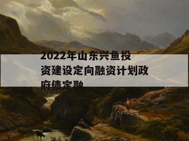 2022年山东兴鱼投资建设定向融资计划政府债定融