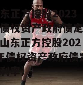 山东正方控股2023年债权资产政府债定融（山东正方控股2023年债权资产政府债定融利率）