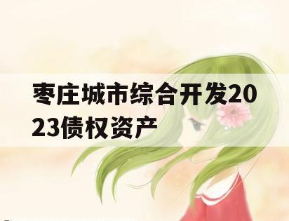 枣庄城市综合开发2023债权资产 枣庄城市综合开发2023债权资产