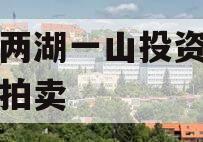 简阳两湖一山投资债权资产拍卖