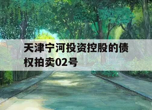 天津宁河投资控股的债权拍卖02号