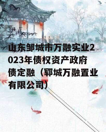 山东邹城市万融实业2023年债权资产政府债定融（郓城万融置业有限公司）