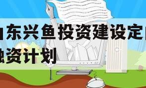 山东兴鱼投资建设定向融资计划