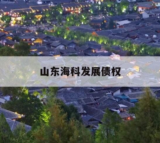 山东海科发展债权 山东海科发展债权