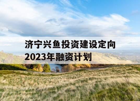 济宁兴鱼投资建设定向2023年融资计划