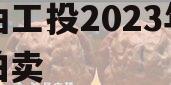 江油工投2023年债权拍卖
