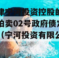 天津宁河投资控股的债权拍卖02号政府债定融（宁河投资有限公司）