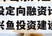 2022年山东兴鱼投资建设定向融资计划（山东兴鱼投资建设有限公司）