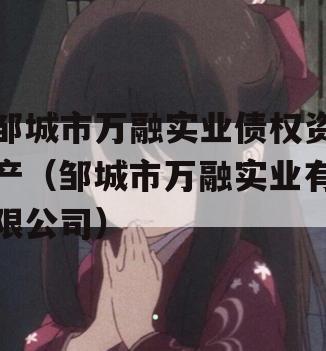 邹城市万融实业债权资产（邹城市万融实业有限公司）