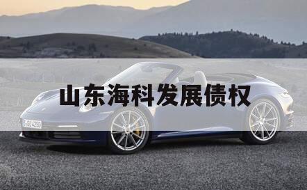 山东海科发展债权 山东海科发展债权
