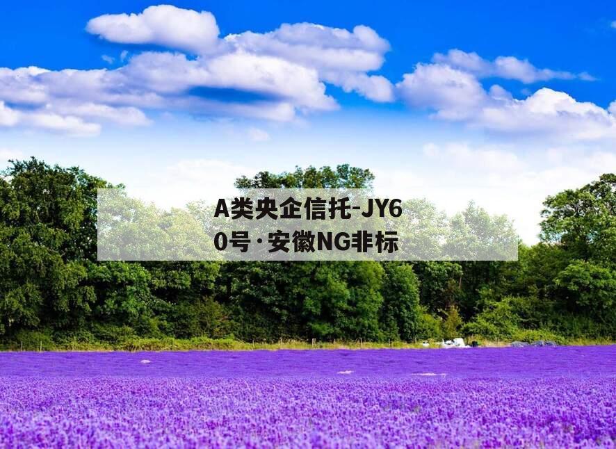 A类央企信托-JY60号·安徽NG非标
