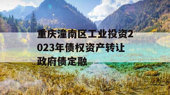 重庆潼南区工业投资2023年债权资产转让政府债定融