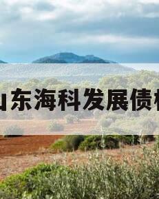 山东海科发展债权 山东海科发展债权