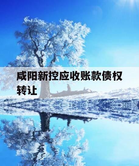 咸阳新控应收账款债权转让 咸阳新控应收账款债权转让