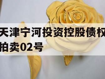 天津宁河投资控股债权拍卖02号