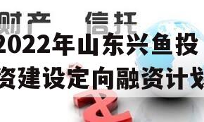 2022年山东兴鱼投资建设定向融资计划 2022年山东兴鱼投资建设定向融资计划