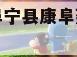 江苏阜宁县康阜建设债权
