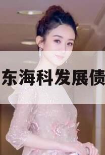 山东海科发展债权