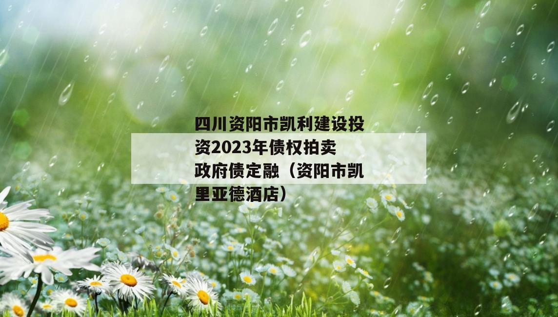 四川资阳市凯利建设投资2023年债权拍卖政府债定融（资阳市凯里亚德酒店）