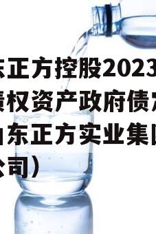 山东正方控股2023年债权资产政府债定融（山东正方实业集团有限公司）