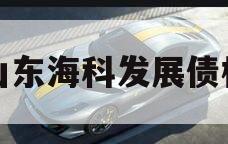 山东海科发展债权 山东海科发展债权