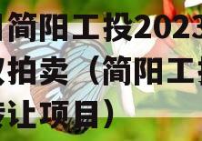 四川简阳工投2023债权拍卖（简阳工投资产转让项目）