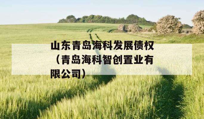 山东青岛海科发展债权（青岛海科智创置业有限公司）