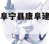 江苏阜宁县康阜建设债权