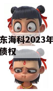 山东海科2023年发展债权