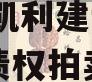 资阳市凯利建设投资2023年债权拍卖