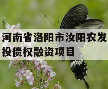 河南省洛阳市汝阳农发投债权融资项目 河南省洛阳市汝阳农发投债权融资项目