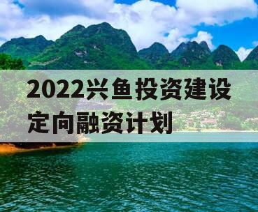 2022兴鱼投资建设定向融资计划