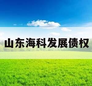 山东海科发展债权 山东海科发展债权
