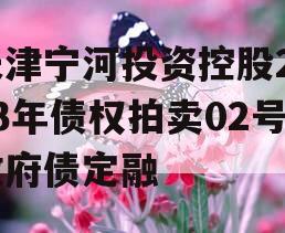 天津宁河投资控股2023年债权拍卖02号政府债定融