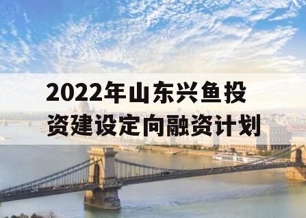 2022年山东兴鱼投资建设定向融资计划