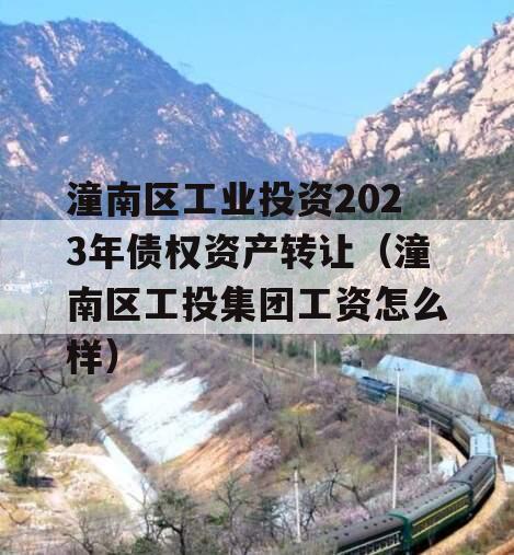 潼南区工业投资2023年债权资产转让（潼南区工投集团工资怎么样）