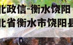 河北政信-衡水饶阳（河北省衡水市饶阳县新闻）