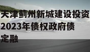 天津蓟州新城建设投资2023年债权政府债定融