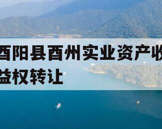 酉阳县酉州实业资产收益权转让