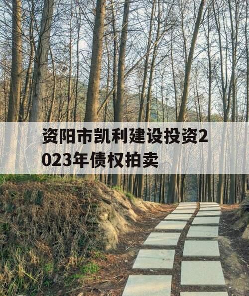 资阳市凯利建设投资2023年债权拍卖