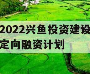 2022兴鱼投资建设定向融资计划