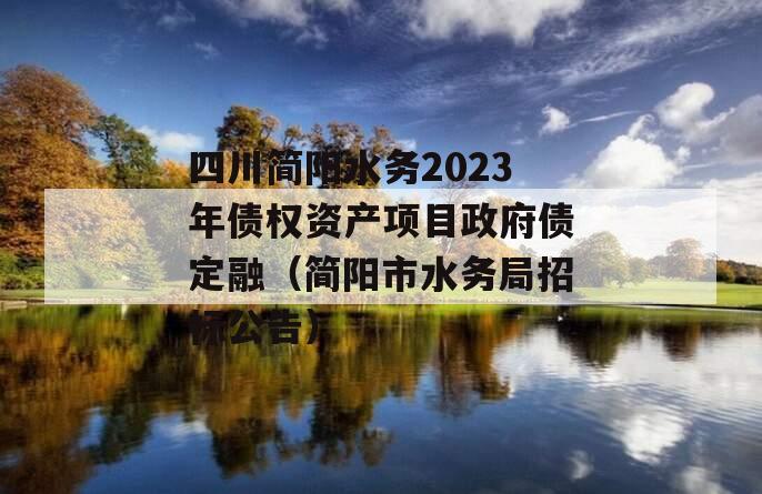 四川简阳水务2023年债权资产项目政府债定融（简阳市水务局招标公告）