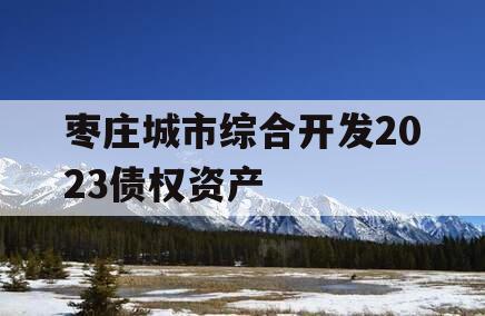 枣庄城市综合开发2023债权资产
