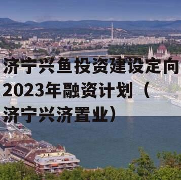 济宁兴鱼投资建设定向2023年融资计划（济宁兴济置业）