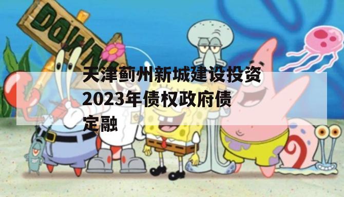 天津蓟州新城建设投资2023年债权政府债定融