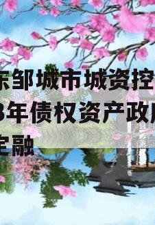山东邹城市城资控股2023年债权资产政府债定融
