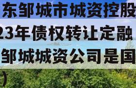 山东邹城市城资控股2023年债权转让定融（邹城城资公司是国企吗）