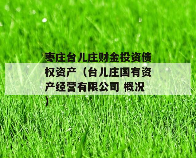 枣庄台儿庄财金投资债权资产（台儿庄国有资产经营有限公司 概况）